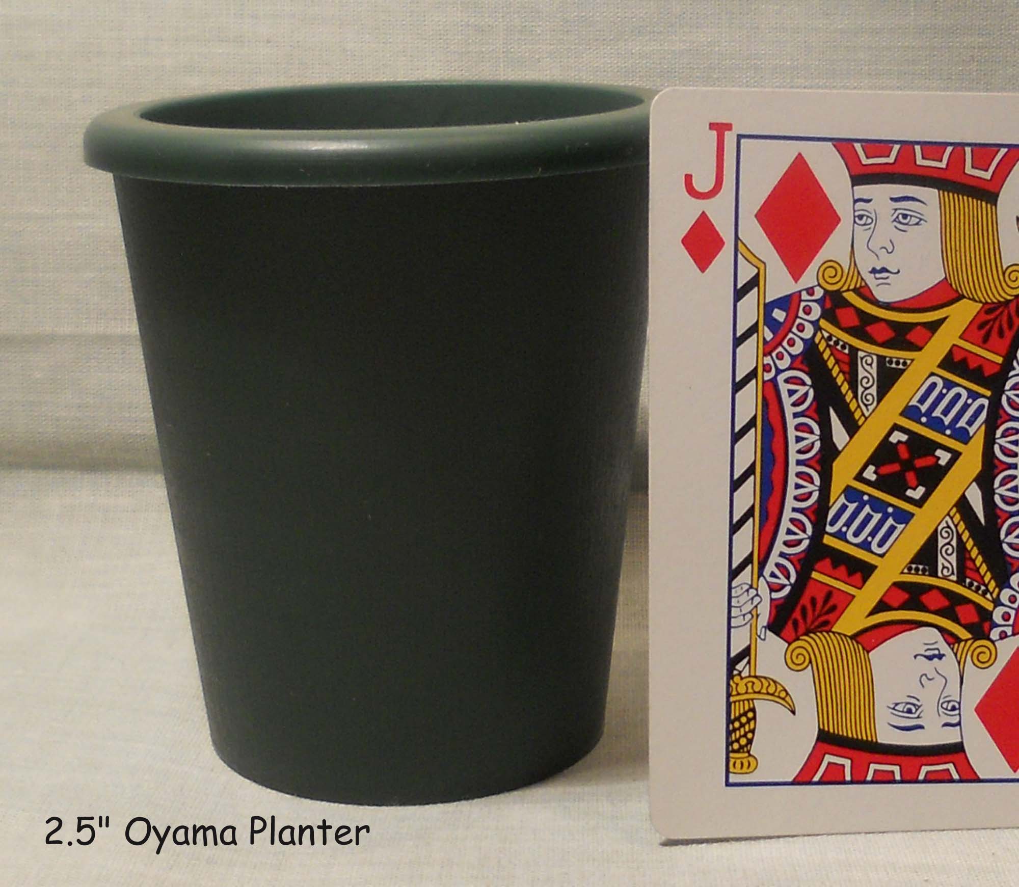2.5"Oyama planter green