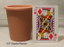 2.5" Oyama planter with playing card