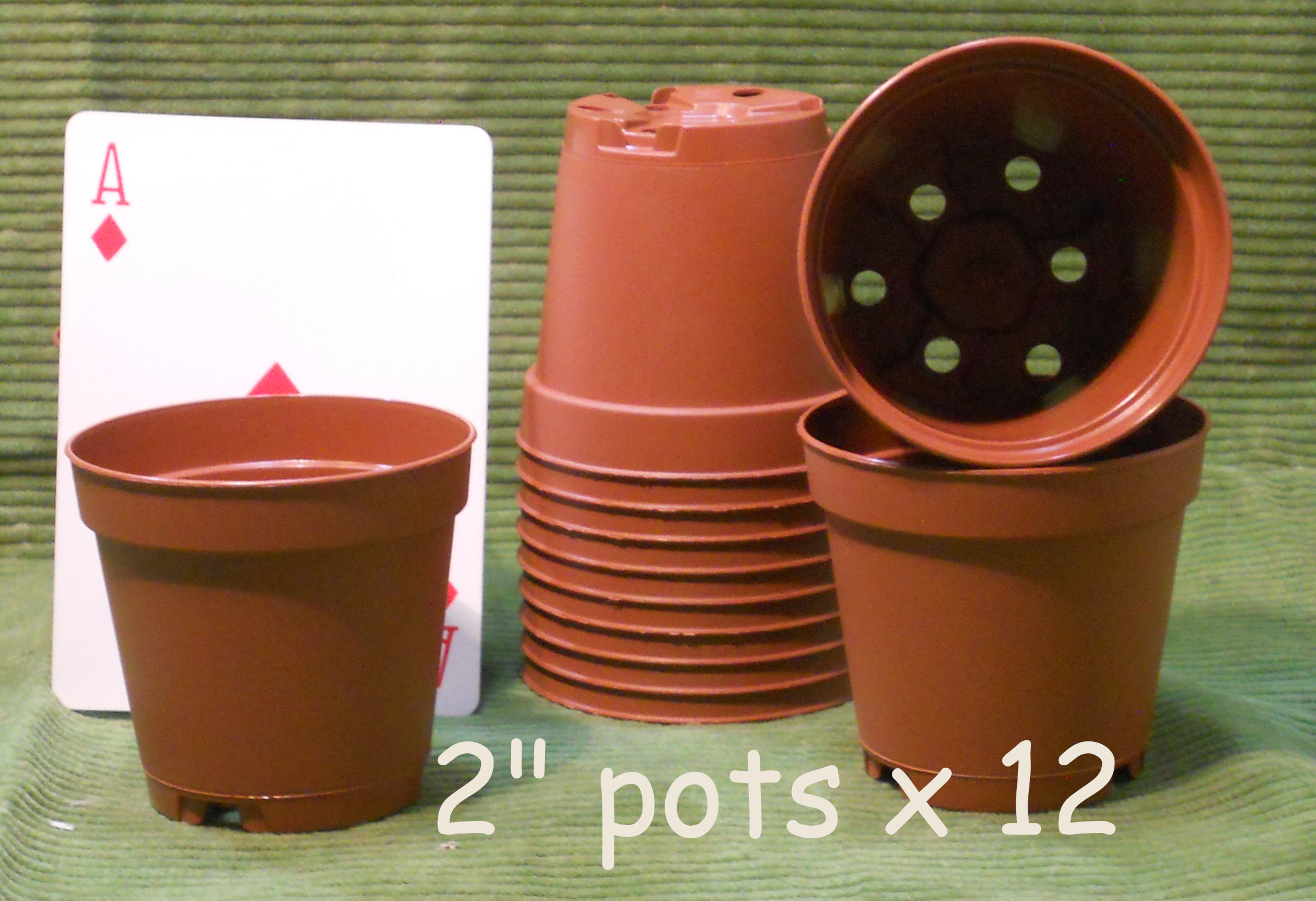 2 inch brown pot x 12