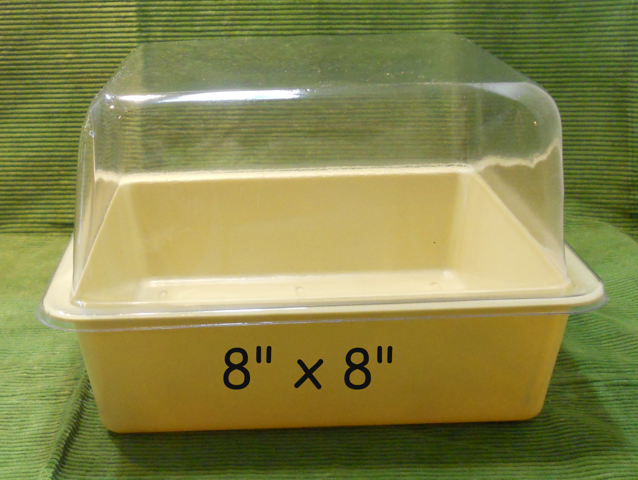 8 x 8" tray with dome