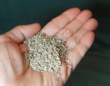 fine vermiculite in hand