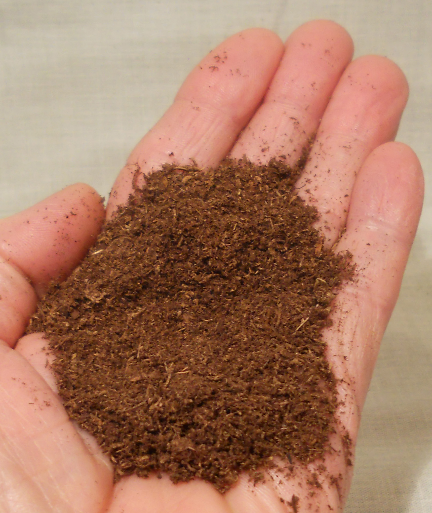 peat moss in hand