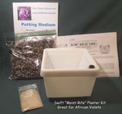 Swifts Planter Kit